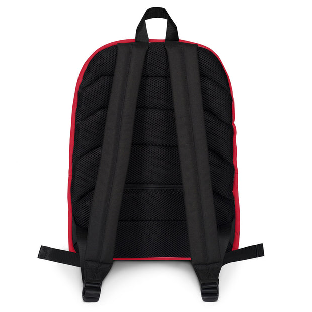 AMHS 'The Cross' medium-sized backpack (r/b/r)